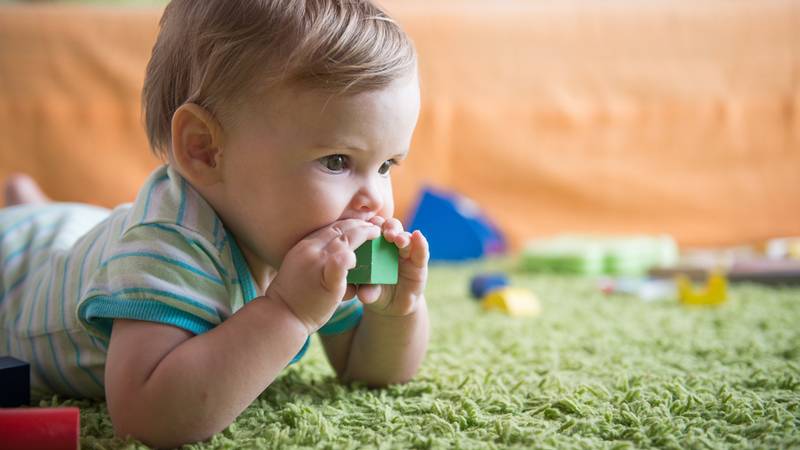 Help Mijn Baby Stopt Alles In Zijn Mond